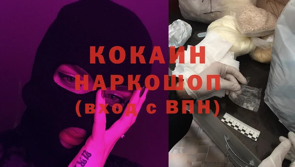 apvp Алзамай